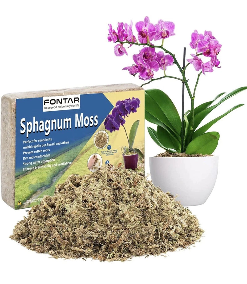 New Zealand Premium 3 QT Sphagnum Moss Enhances Growth for Orchids, Succulents,dpenpen  99.9% positive (2.8K) Orchids