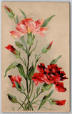 Vintage Floral Postcard - Red Pink Carnations - G. D. & D. Star Series Carnation