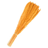 60Pcs Pampas Grass,17" Fake Pampas Grass for Wedding Decoration,Orange Pampas Grass