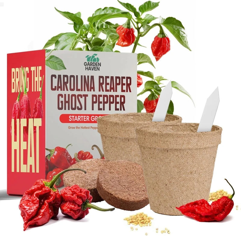 Pepper grow starter kit with biodegradable pot, red chili peppers and seed packet