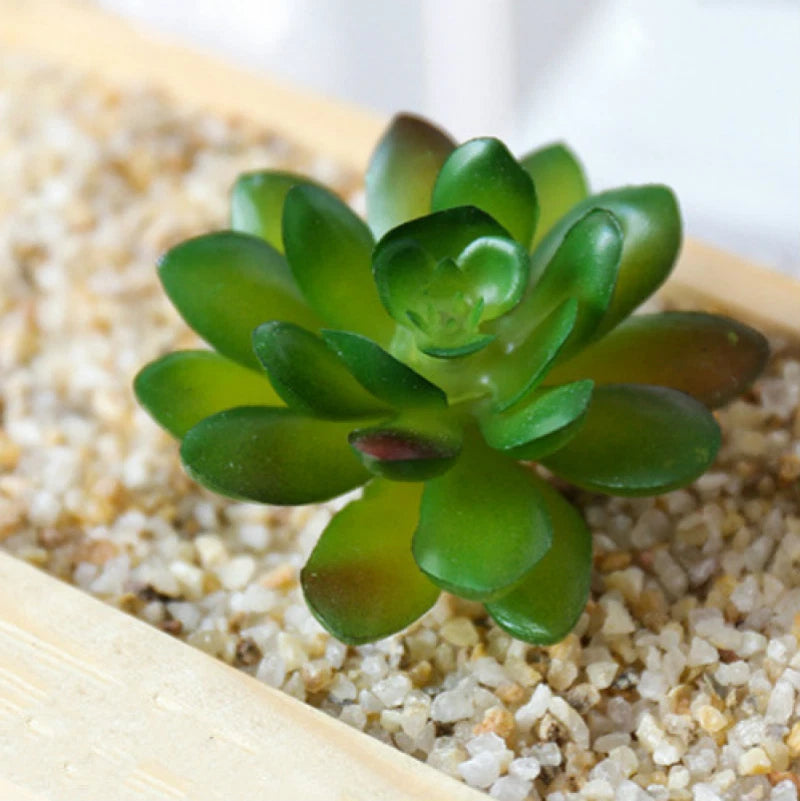 Artificial Succulents Plants Fake Bonsai Cactus Home Garden Wedding Decoration Green Plant