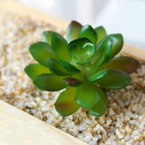 Artificial Succulents Plants Fake Bonsai Cactus Home Garden Wedding Decoration Green Plant