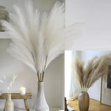 38" Faux Pampas Grass Decor White & Brown - Artificial Pampas Grass Small Pam... Pampas Grass