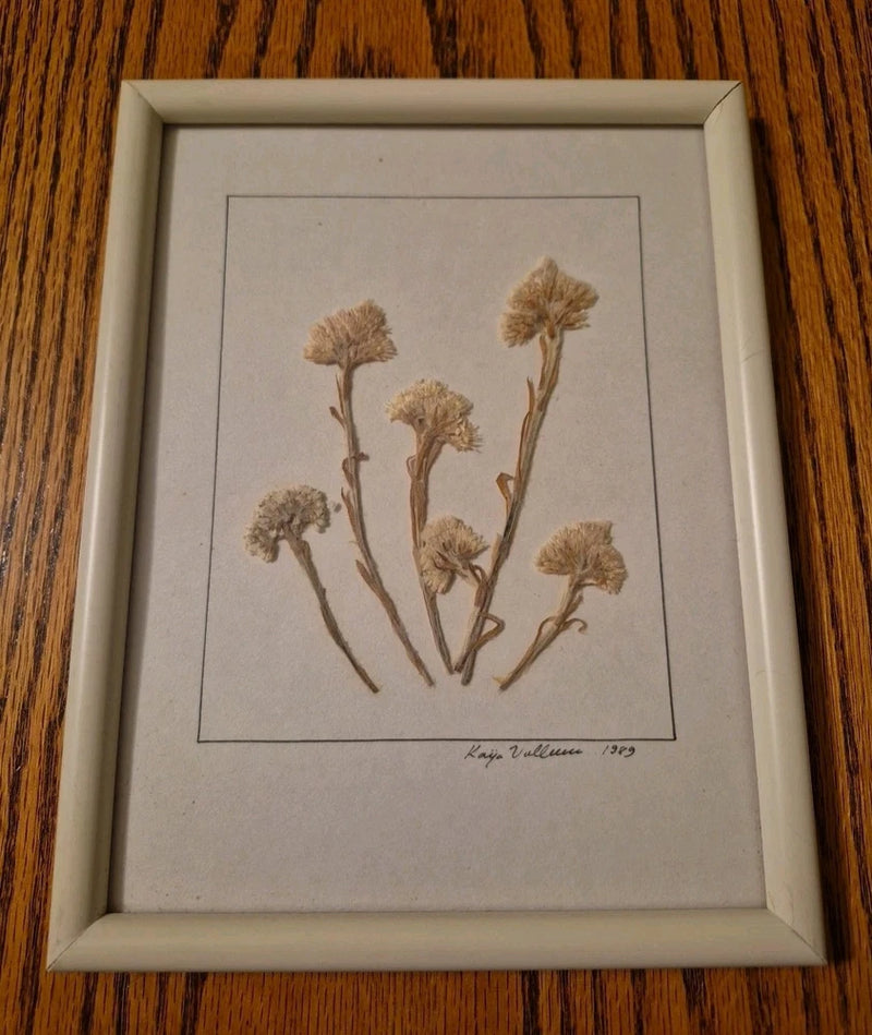 Framed dried flower art with multiple beige pressed stems in a light border