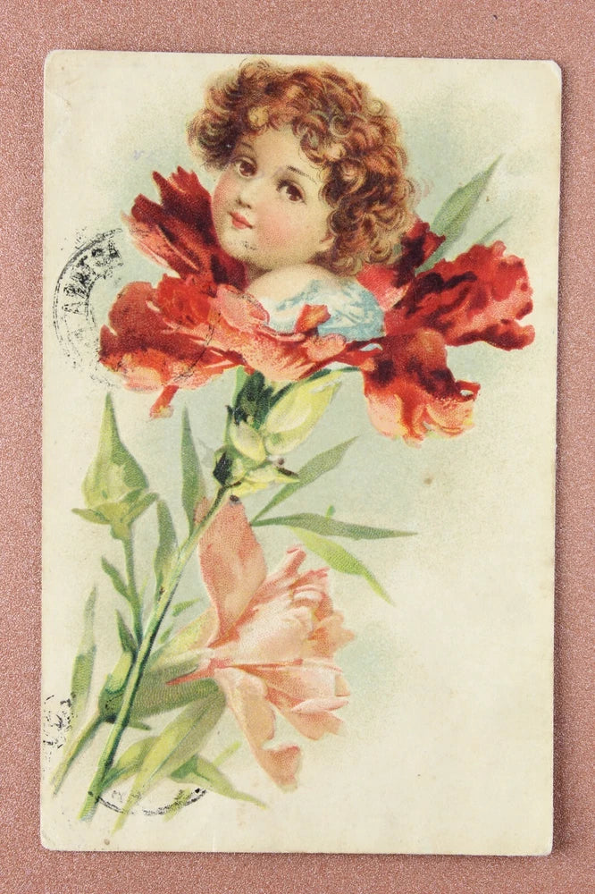 Lovely baby ELF Carnation flower. Antique postcard MINSK stamp 1910__ Carnation