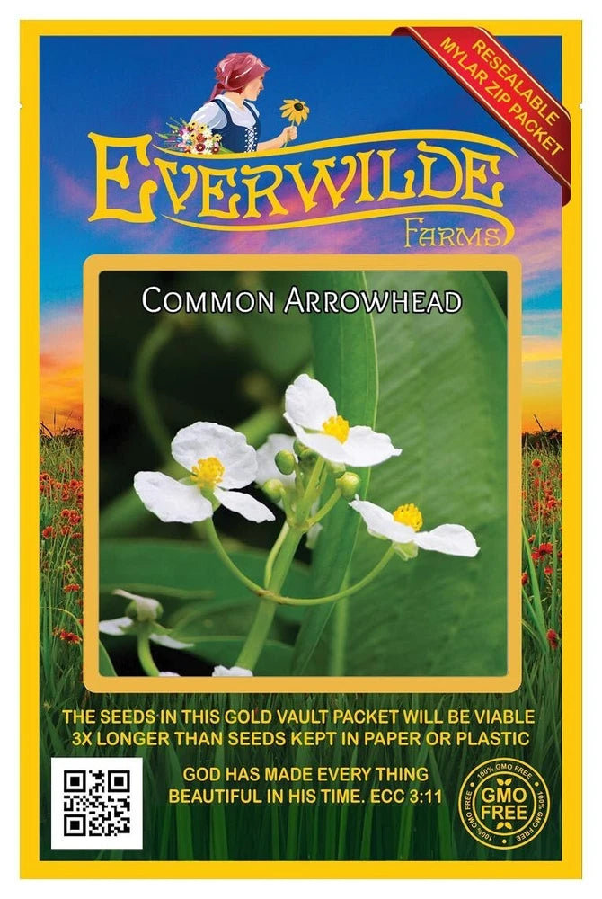 750 Common Arrowhead Wildflower Seeds - Everwilde Farms Mylar Seed Packet Flowering Plants