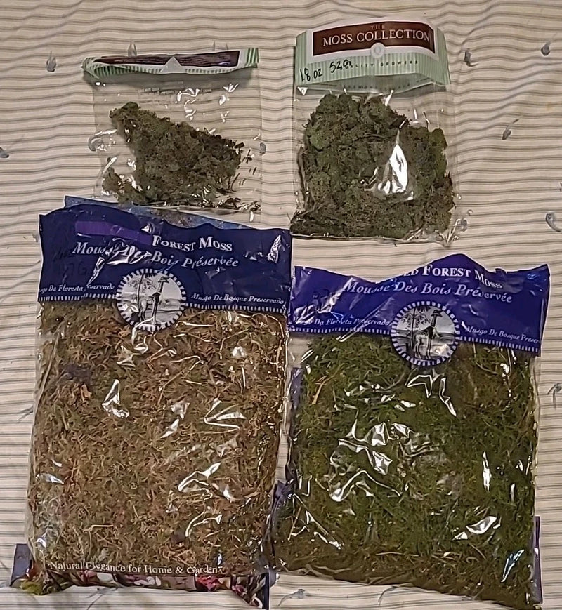 SuperMoss Forest Dried Moss Planters Pots Container Gardens Natural Green Plants Green Plant