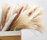 Pampas Grass-15 pcs, Brown Dried Flowers-15 pcs & Dried Reed-30 pcsDried White Pampas Grass