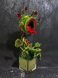 Handmade Killer Plant Gothic Home Decor Horror Art ÒStarved SovereignÓ Green Plant