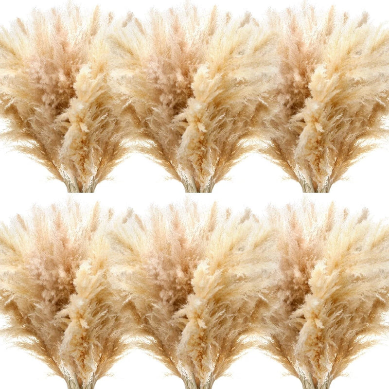 Tigeen 60 Pcs 40 Inch Fluffy Pampas Grass Tall Natural Dried Pampas Grass Dec... Pampas Grass