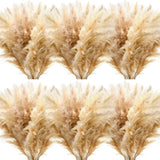Tigeen 60 Pcs 40 Inch Fluffy Pampas Grass Tall Natural Dried Pampas Grass Dec... Pampas Grass