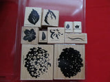 Stampin Up Hydrangea Definitely Decorative Flower Leaves Bush Rubber Stamp 1998 Hydrangea