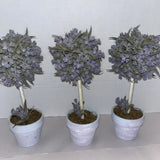 Set Of 3 Faux Lavender Topiary Plants In Distressed Pots Rustic Farmhouse Decor Flowering Plants