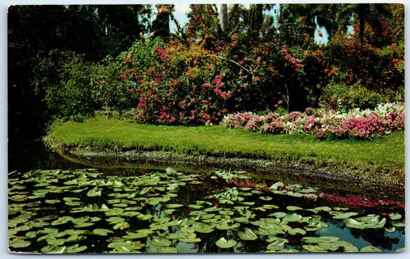 Lily Pond and Colorful Display of Flowers in the Garden of the Southland Lily