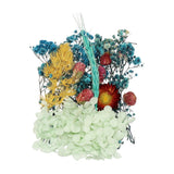 NaturalÊDriedÊFlowerÊSet,ÊDriedÊPressedÊFlowers (Blue) Dried Flower