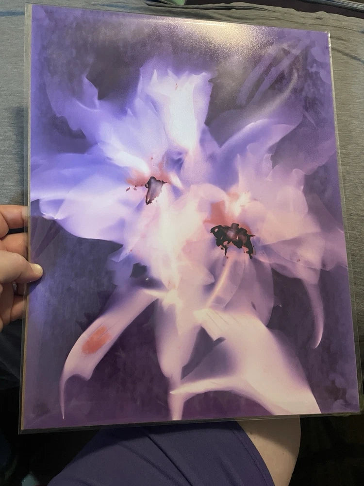8x10 photographic art print with luminous purple lily artwork in clear sleeve