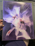 Photographic Lumen Print, Scanned and Printed 8Óx10Ó ÒLily Of NovaÓ Lily