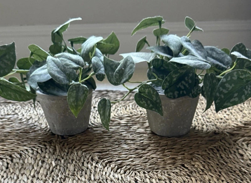 Artificial Set of Faux Potted Plants for Home Accents from Hearth & Hand Green Plant