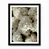 White Hydrangeas Flowers Oil Painti Framed Wall Art Poster Canvas Print Picture Hydrangea