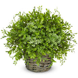 Artificial Boxwood Plant in Woven Pot 9Ó Fake Potted Plants Topiary Boxwood G... Green Plant