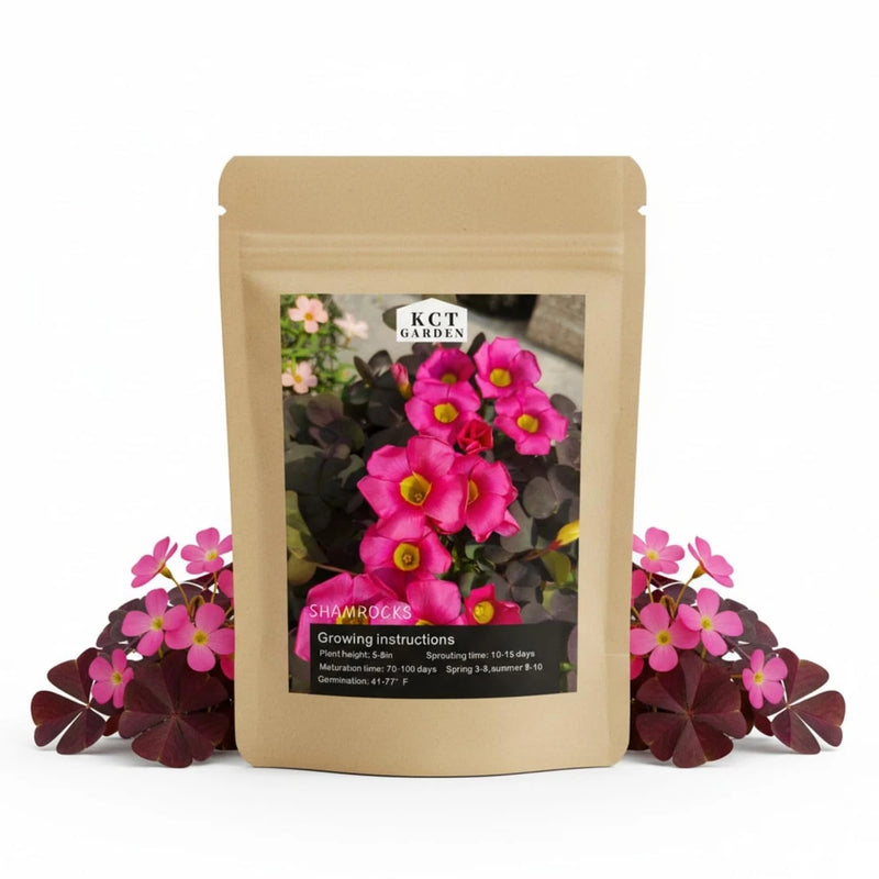 Purple Oxalis shamrock bulbs in kraft seed packet with bright pink flowers