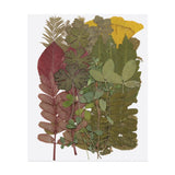 30 Pcs Dried Pressed Flower Leaves Bulk for Resin, Dark Green Dried Flower