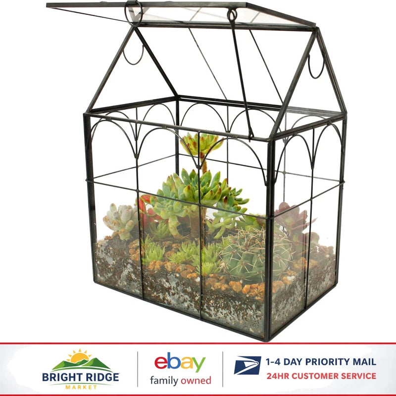 Geometric Glass Terrarium for Indoor Gardening, Succulent & Air Plant Display Garden Plants
