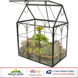 Geometric Glass Terrarium for Indoor Gardening, Succulent & Air Plant Display Garden Plants