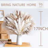 96PCS Natural Dried Pampas Grass Bouquet Boho Home Decor Phragmites Dried Flower Pampas Grass