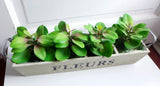 4 Artificial Grass Green Apple Leaf Plants Green Plant