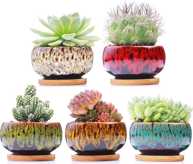 Ceramic succulent garden pots set with drainage holes and attached saucers, colorful