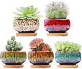 Cute Ceramic Succulent Garden Pots, Planter with Drainage and Attached Saucer, S Garden Plants