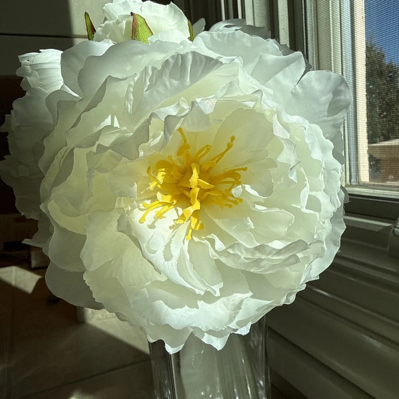Faux white peony bloom with yellow center and ruffled petals