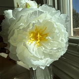 Small Bunch Of Faux White Peonies - Five Stems 12 Inches Tall Peony