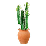 Nearly Natural 28" Artificial Cactus in Terracotta Planter in Green Green Plant