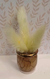 Large Dolls house Pampas Grass in a vase  Flower Accessory  Hand Made UK Pampas Grass
