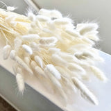 120 PCS Natural Bunny Tails Flowers Lagurus Bunny Tails Pampas Grass Decor La... Pampas Grass