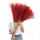 38" 10 Stems Faux Pampas Grass Tall - Red Tall Pampas Grass Decor Pompas Flor... Pampas Grass