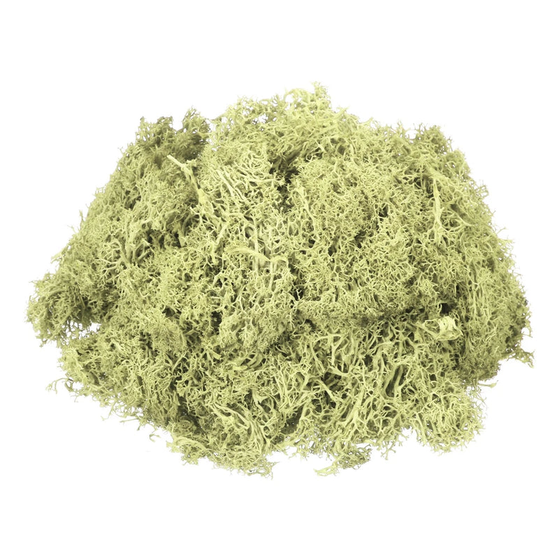 3oz Preserved Reindeer Moss, Light Bright Green Decorative Artificial Fake Moss Green Plant