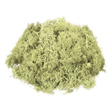 3oz Preserved Reindeer Moss, Light Bright Green Decorative Artificial Fake Moss Green Plant