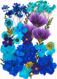 30Pcs Dried Pressed Flowers for Resin DIY Art Crafts Natural Dry Leaves Daisy Ep Dried Flower