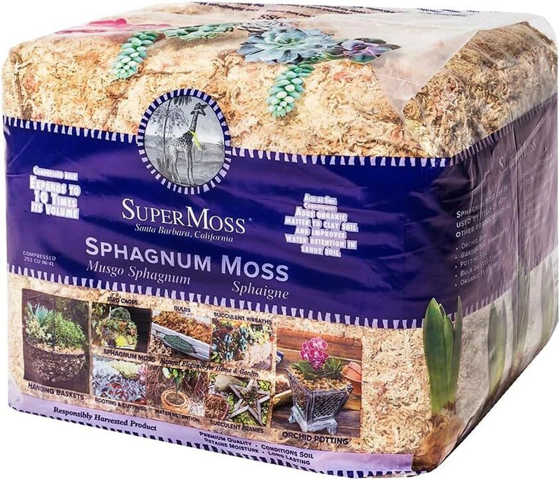 Natural White Sphagnum Moss Mini Bale Ideal For Orchids Succulents And Gardens Orchids