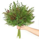 Mixed Eucalyptus Leaves Stems 12PCS, Artificial Plants Boston Fern Fake Branc... Green Plant