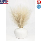 14" Artificial Pampas in White Rounded Ceramic Vase Home Tabletop Vase Decor US Pampas Grass