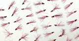 40 pc Bottlebrush natural pressed flowers resin cards candle flower art/crafts S Dried Flower