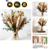 Boho Dried Flowers Bouquet Pampas Grass Eucalyptus Wall Decor Centerpiece Pampas Grass