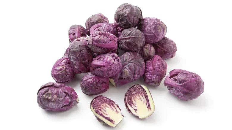 500+ Redarling Brussels Sprouts Seeds for Garden Planting - USA - FREE SHIPPING! Garden Plants