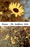 Kansas Sunflower State Flower, 1903 Legislature Act Postcard Sunflower