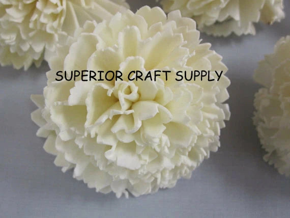 Sola Carnation Flowers -- Set of 12 Carnation
