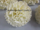 Sola Carnation Flowers -- Set of 12 Carnation